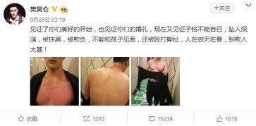 娱乐圈吃瓜熊姐是谁,揭秘幕后真相与热门事件