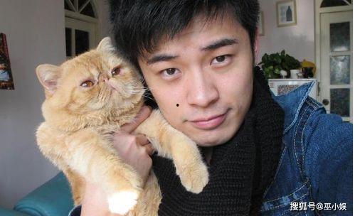 吃瓜娱乐赵小瞒四字真言,揭秘娱乐圈的吃瓜秘籍