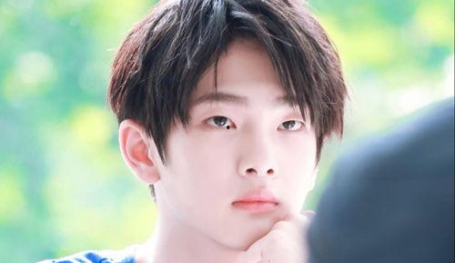 娱乐吃瓜小将王惠小说,娱乐圈的吃瓜小将，揭秘明星背后的故事