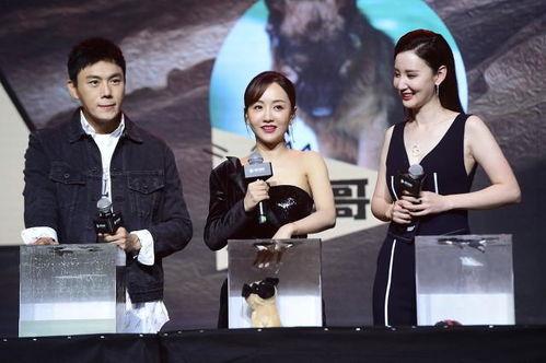 娱乐圈吃瓜合集2022,年度吃瓜合集大揭秘