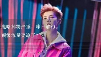 娱乐吃瓜酱十年之约,娱乐吃瓜酱的蜕变之旅