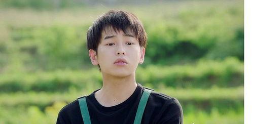 爱豆吃瓜娱乐酱成毅,从爱豆到瓜界新宠，揭秘成毅的吃瓜娱乐之路