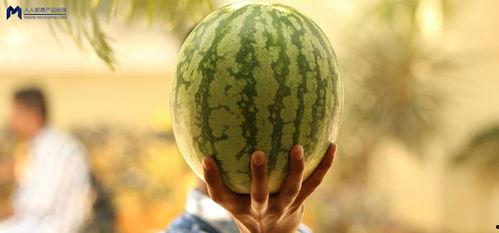 2021娱乐吃瓜,吃瓜群众的热议焦点大盘点