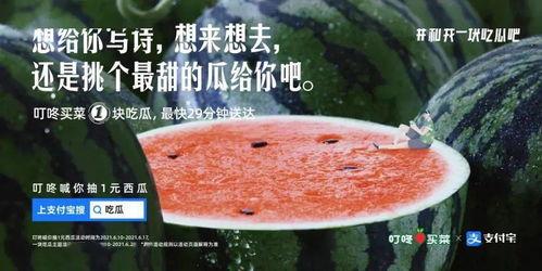 娱乐圈的吃瓜文案,揭秘明星们的“瓜田”秘闻